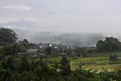 印度尼西亚巴厘岛的Jatiluwih Rice Terrace。巴厘岛塔巴南的自然风光。前景是群山和