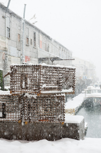 缅因州一场暴风雪期间，龙虾被困在码头上