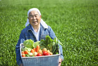 在田里捡菜的人