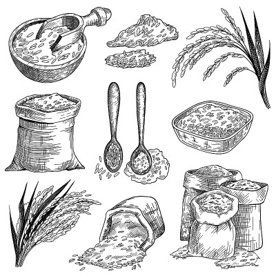 米粒在麻袋和碗素描设置