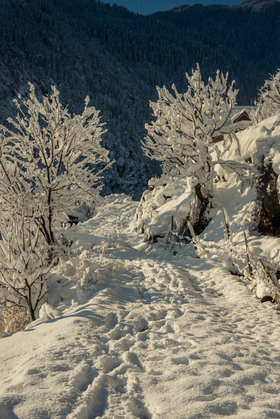 雪山覆盖的道路-雄伟的冬季景观在喜马拉雅山