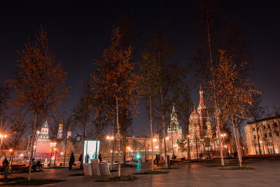 莫斯科。红场。圣巴西尔大教堂夜景