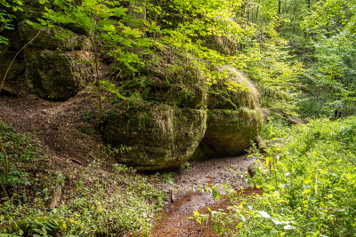 在Eisenach附近的Drachenschlucht，溪流和苔藓覆盖着岩石