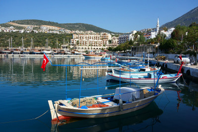 Kalkan,火鸡