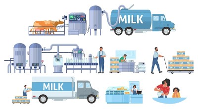 牛奶生产矢量信息图。牛耕作。乳品厂流水线加工、经销、销售。食品行业。