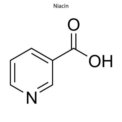 分子骨架式。