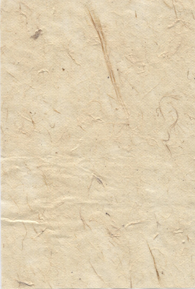日本纸5