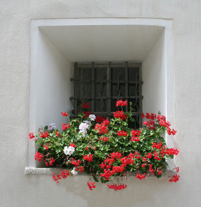 窗花盒