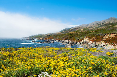 美丽的夏季山地海岸景色。