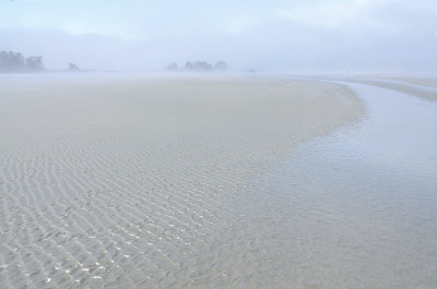 沙在海雾中在海边形成波浪