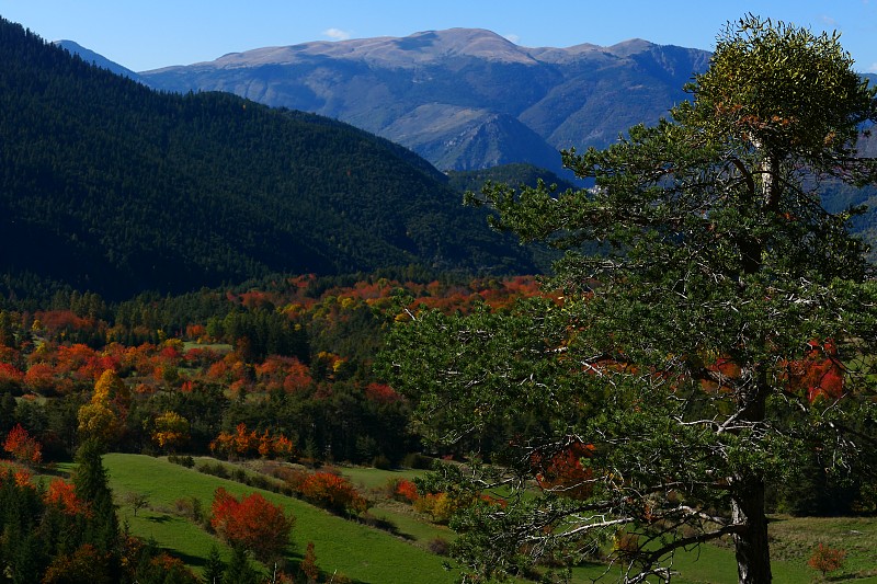 阿尔卑斯山圣达尔马斯·瓦尔迪洛尔附近的乡村风景