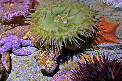 海底世界