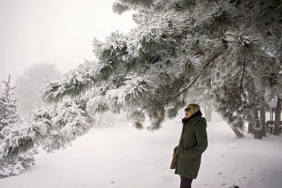 在雪