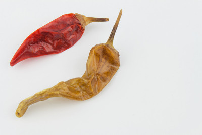 白色背景上的干辣椒