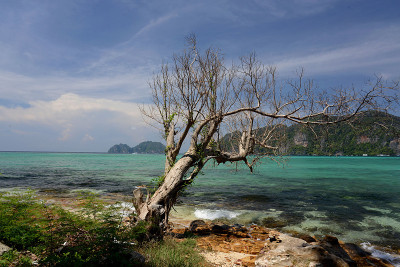 泰国甲米phi phi岛