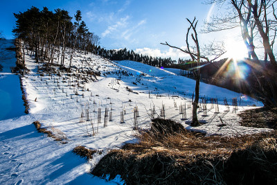 雪高原