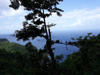 一个小岛