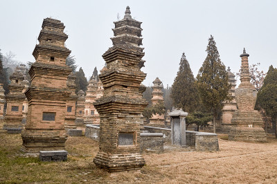 中国少林寺的宝塔森林