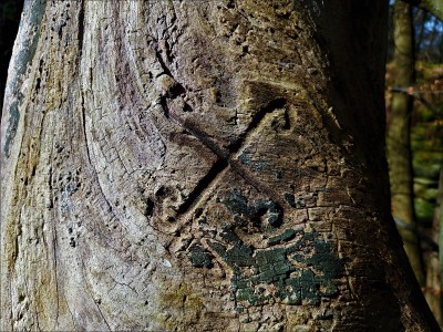 苏格兰风景画- Dunino Den