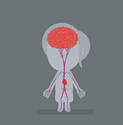 Human body anatomy vector illustration