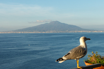 那不勒斯高尔夫球场(Golfo di Napoli)与维苏威和海鸥