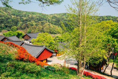 位于韩国安城的Chiljangsa寺
