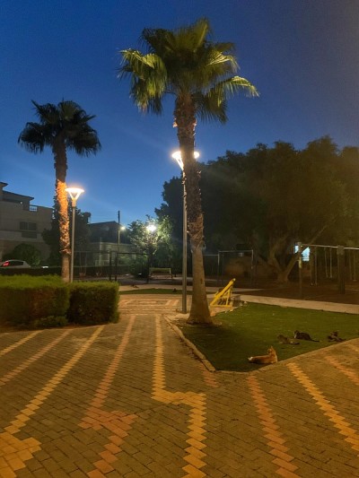 夜之美