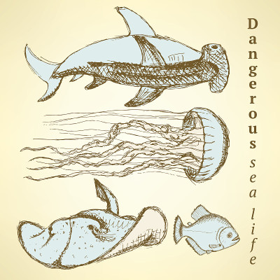 用复古风格描绘海洋生物