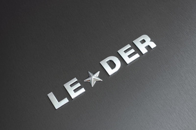 Leader概念，单词Leader用星号代替字母a