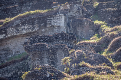 智利复活节岛，拉诺拉库火山采石场，未完成的摩埃石像