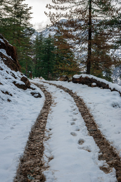 雪中的道路-雄伟的冬季景观在喜马拉雅山