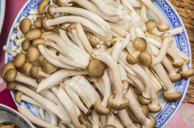 中国盘子上的蘑菇