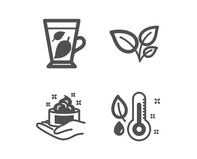Leaves, Skin care and Mint leaves icons. Thermomet