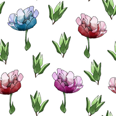 春天的银莲花花朵图案无缝。