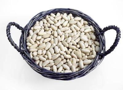 法国白芸豆或菜豆