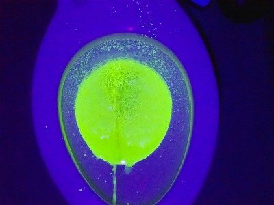 荧光素钠医用用途