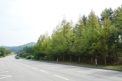 路
