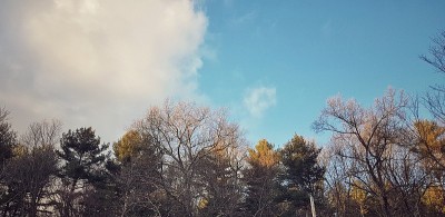 哈佛大学的秋天