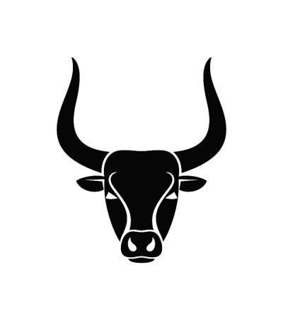公牛头标志。在白色背景上孤立的公牛头