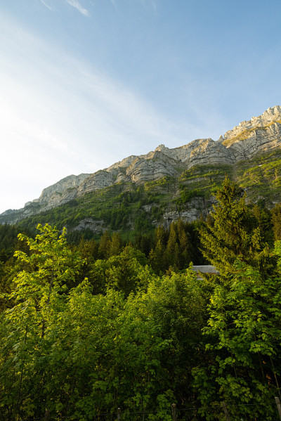令人惊叹的徒步旅行到美丽的西阿尔普西湖。瑞士中部的美景。阳光灿烂的一天，阳光洒在绿草地上。那里有一条