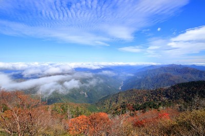 鹤木山，从胡特山顶俯瞰，秋叶飘落