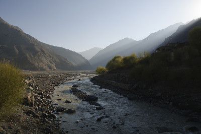 Kali-Gandaki峡谷,野马