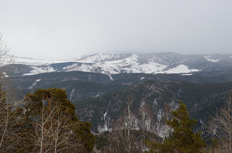 阿尔泰山麓