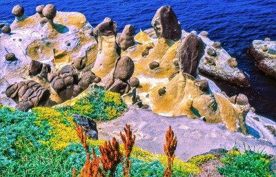 台湾海岸地质构造，和平岛公园