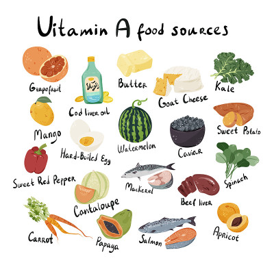 Vitamin A, retinol food sources cartoon illustrati