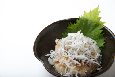 shirasu白萝卜