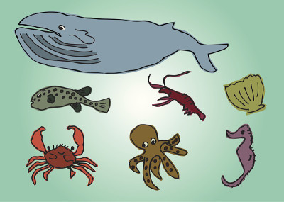 海洋生物