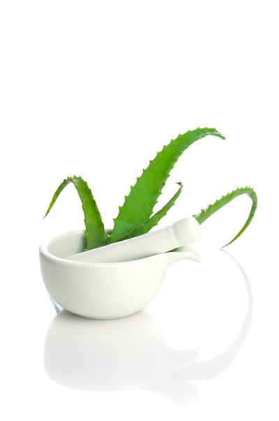 芦荟中草药