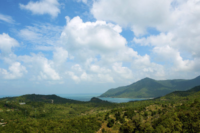 岛的观点
