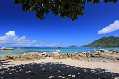 Koh道岛